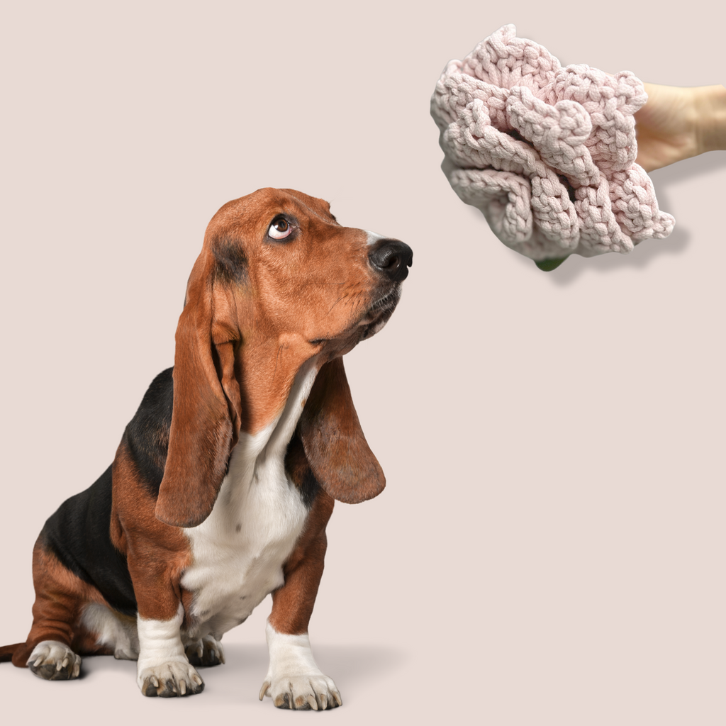 Cherry Blossom: Snuffle Flower Dog Toy