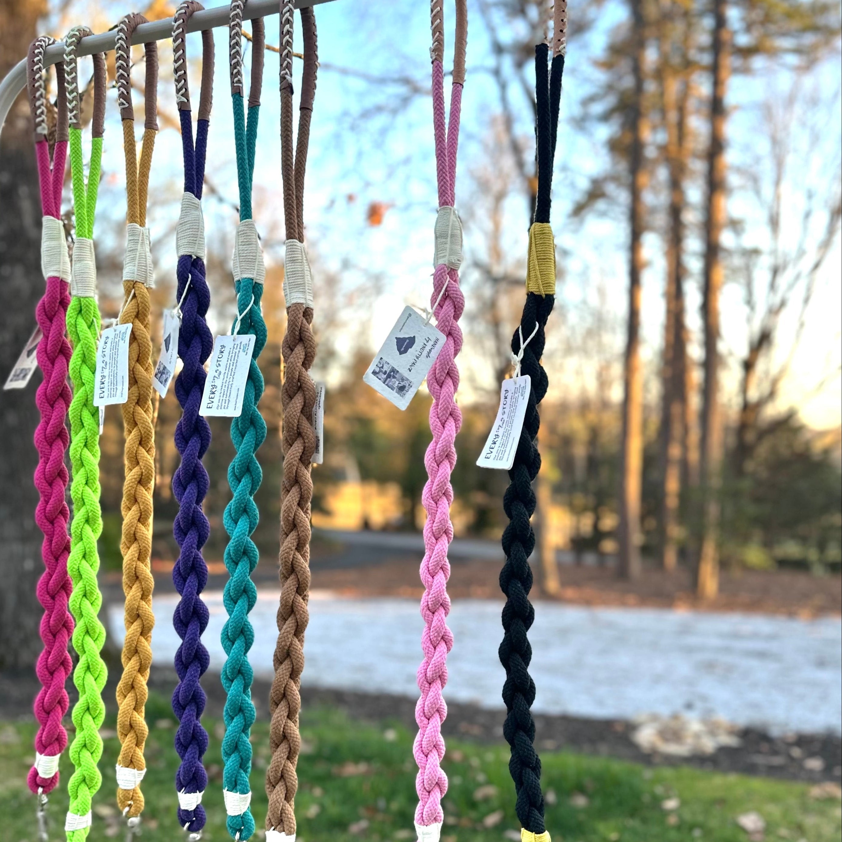 Xena Wanderlust Dog Leash Collection