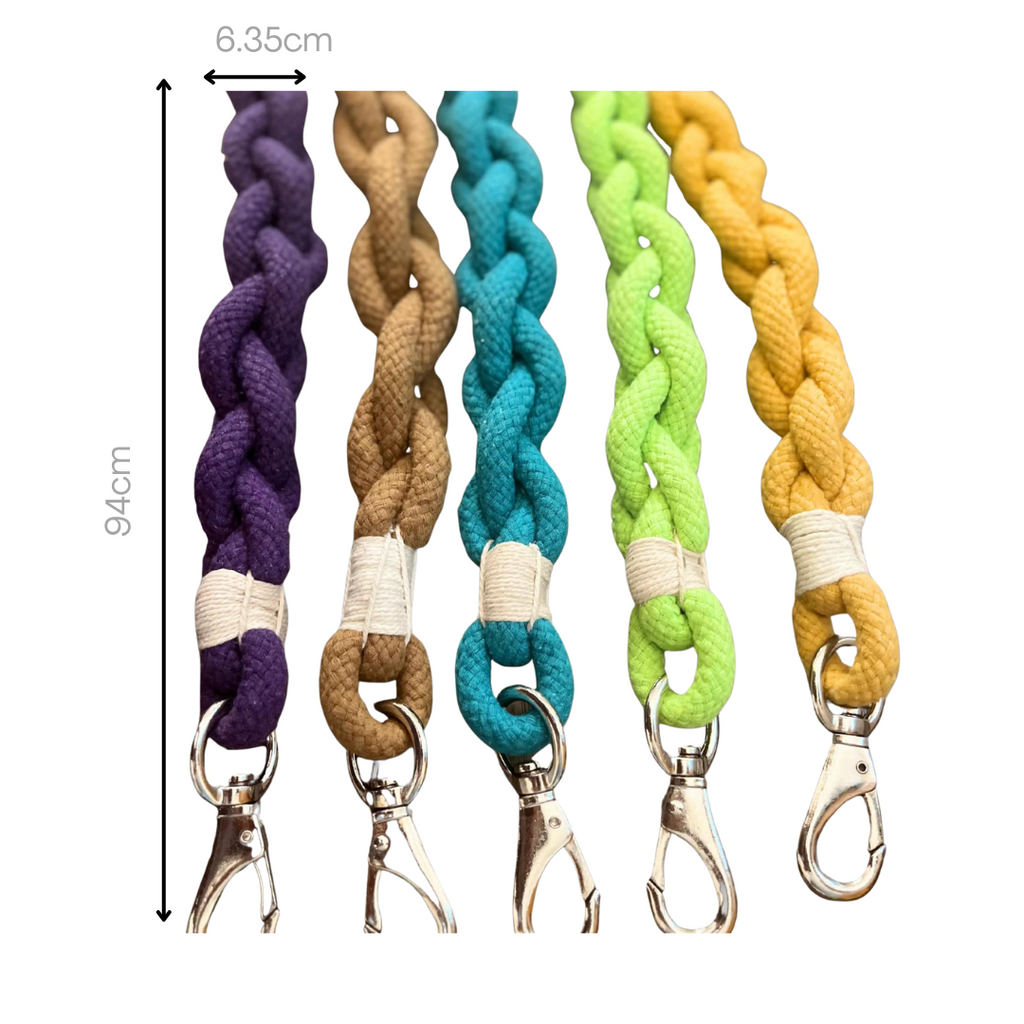 Xena Wanderlust Dog Leash Collection